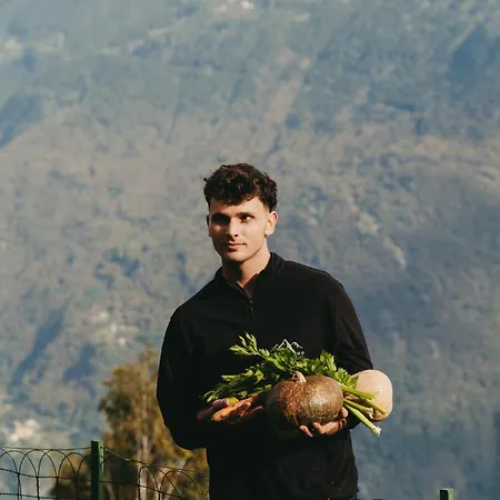 Giacomino