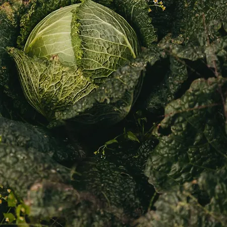 Giacomino * Gera Lario