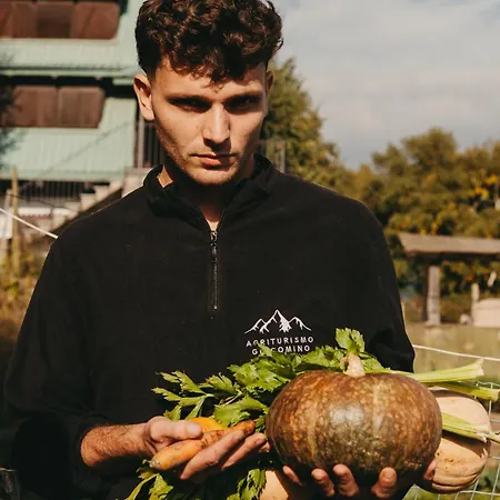 Giacomino Gera Lario