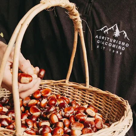 Giacomino * Gera Lario